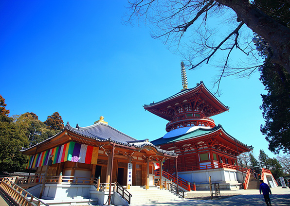 成田山新勝寺「平和大塔」