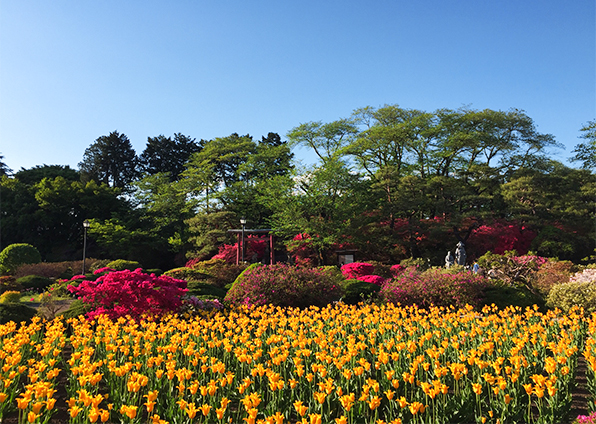 沼田城址公園